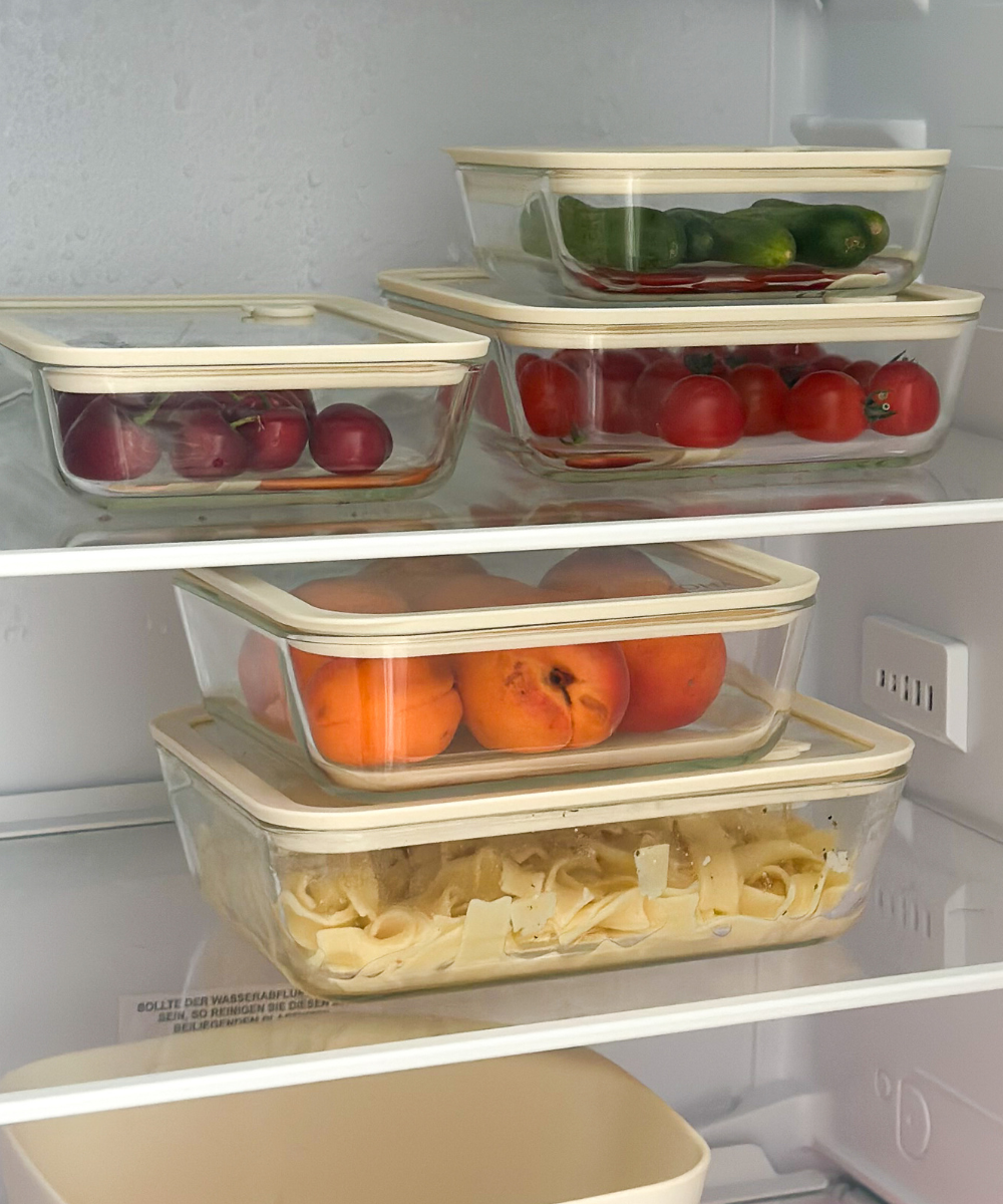 Frischhaltedosen Bundle Transparent