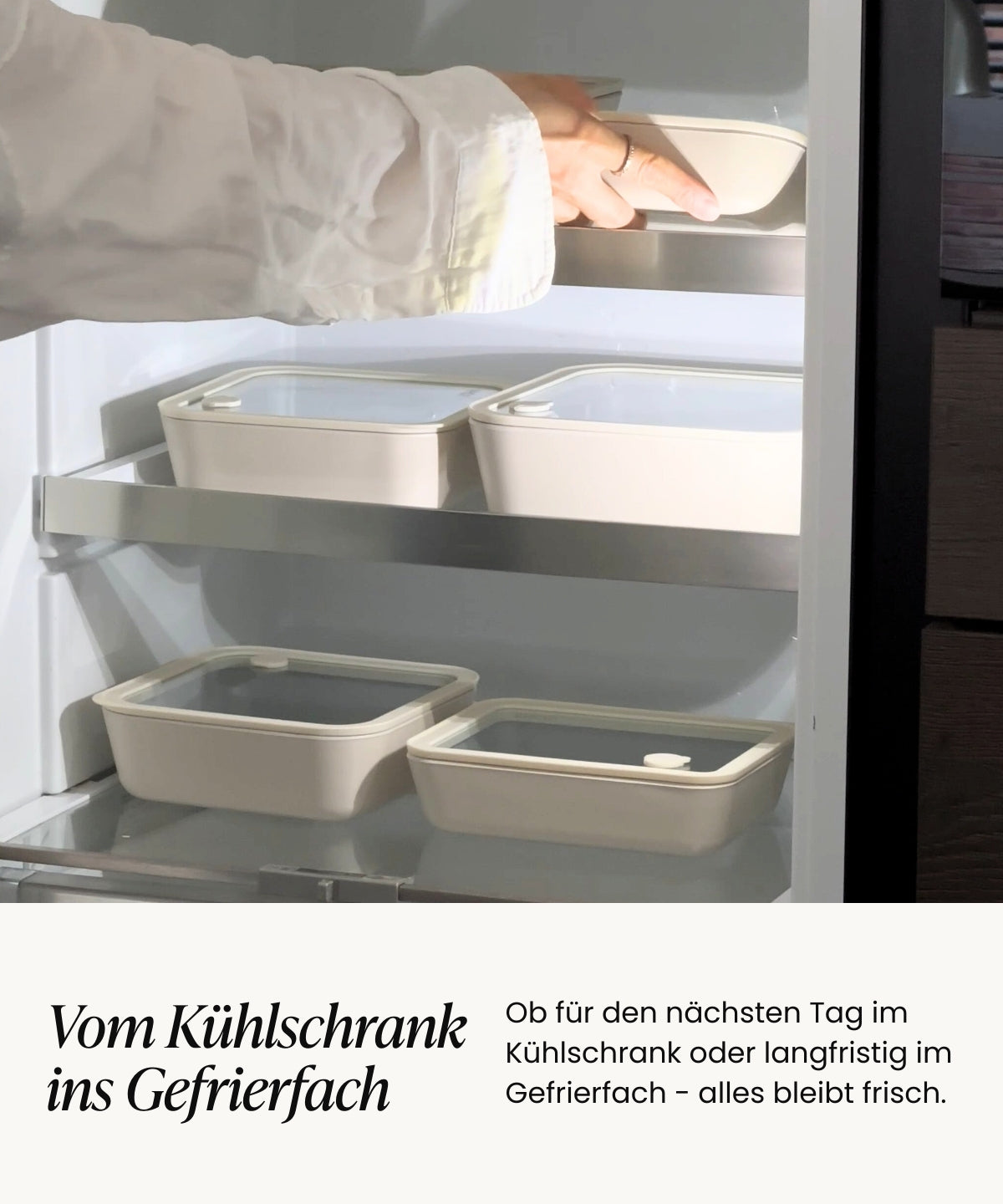 Frischhaltedosen Bundle Transparent 8 Tlg