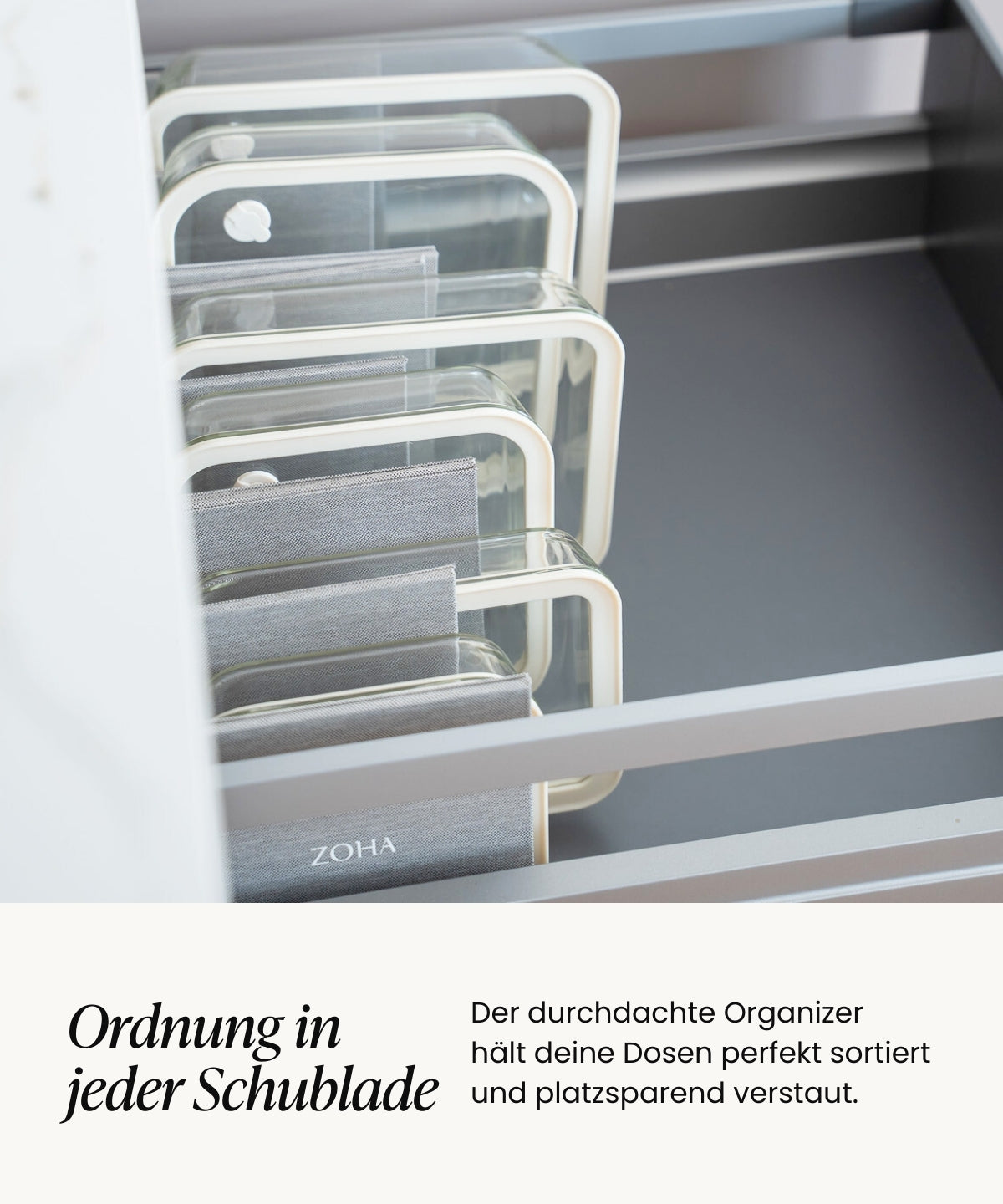 Frischhaltedosen Bundle Transparent