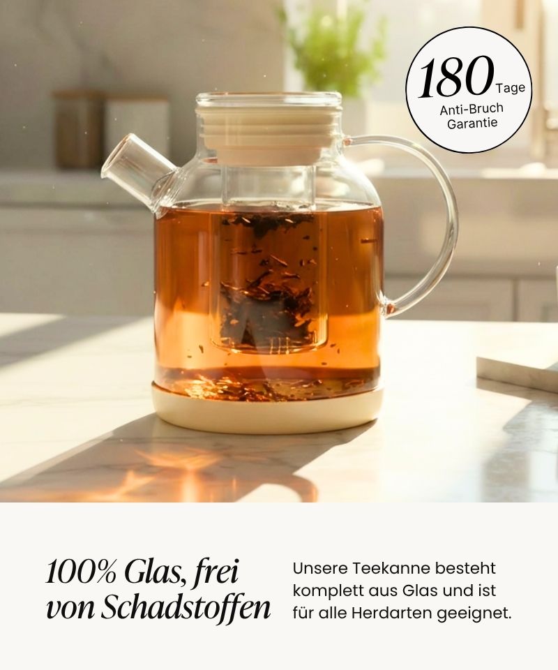 Geschirr Spar-Set für 12 Personen