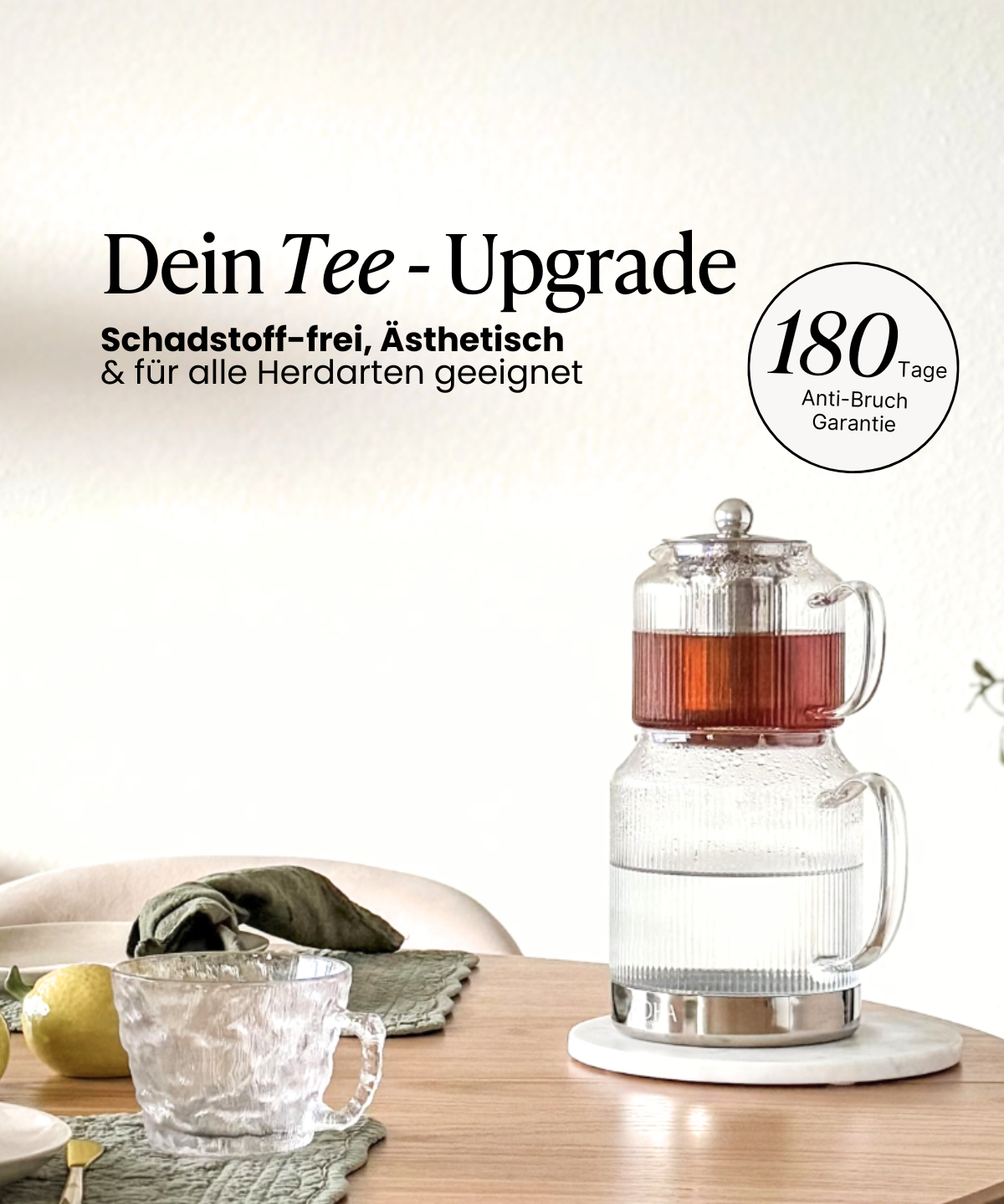 Geschirr Spar-Set für 12 Personen